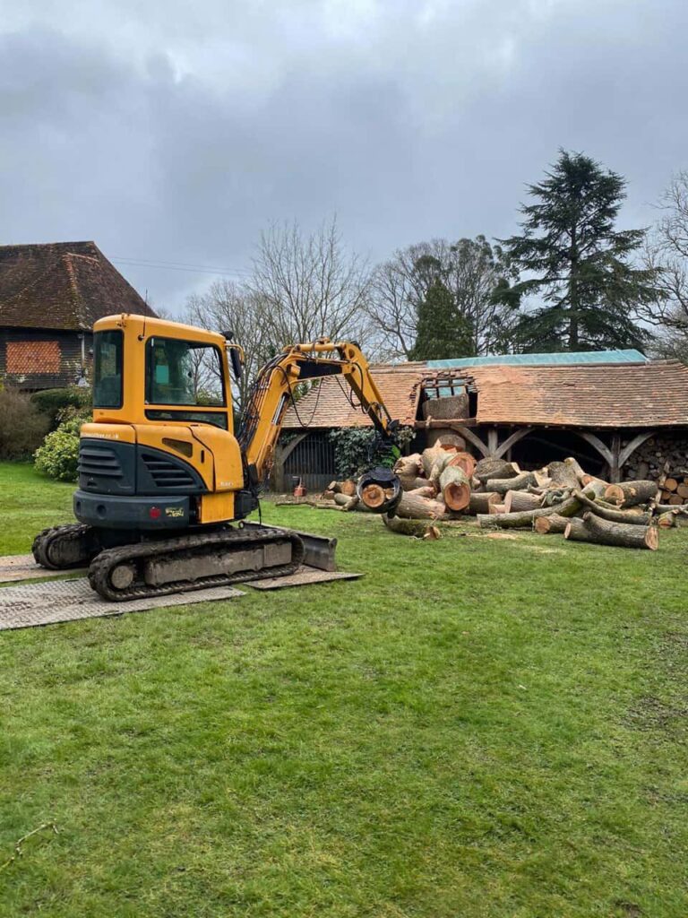 This is a photo of a tree which has grown through the roof of a barn that is being cut down and removed. There is a digger that is removing sections of the tree as well. Newport Pagnell Tree Surgeons