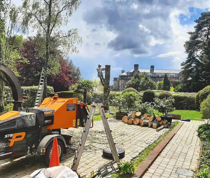 This is a photo of a tree being felled. A tree surgeon is currently removing the last section, the logs are stacked in a pile. Newport Pagnell Tree Surgeons