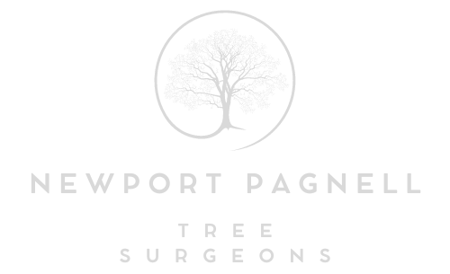 Newport Pagnell Tree Surgeons