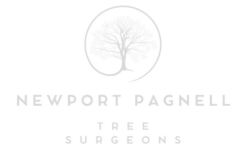 Newport Pagnell Tree Surgeons